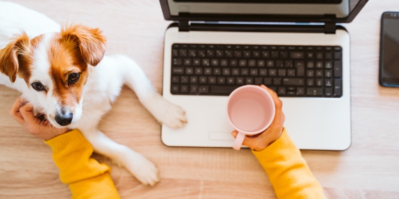 woman working from home with her pet dog