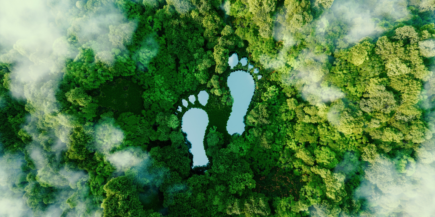 Foot prints in trees representing sustainability - How Spray Foam Insulation Reduces Collective Carbon Footprint