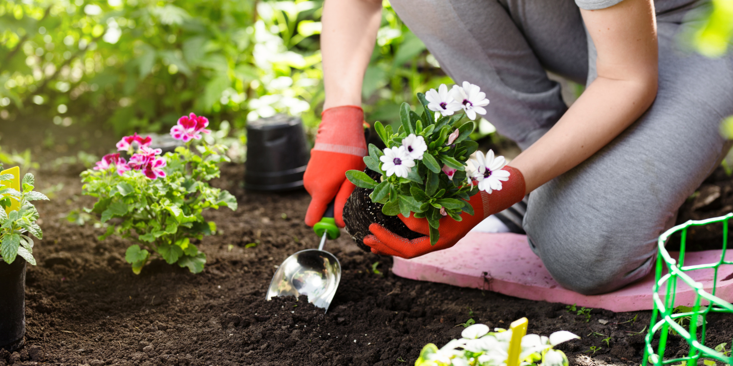 Planting Spring Flowers - Spring Renovation Ideas for Your Home