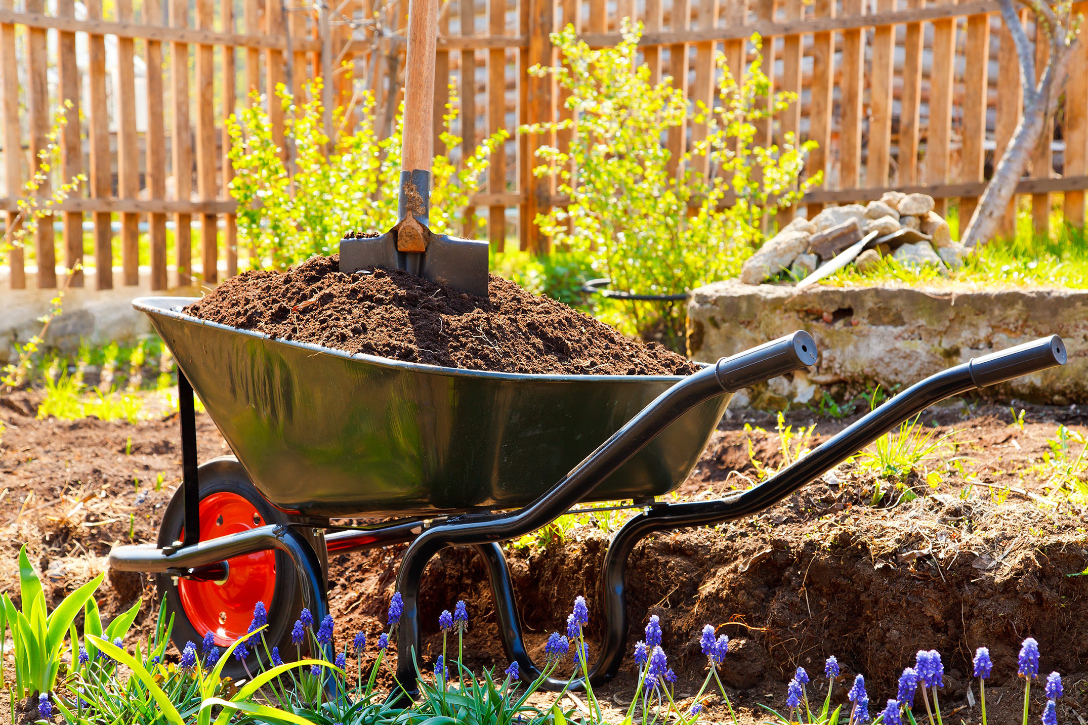 spring landscaping curb appeal